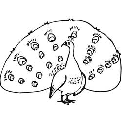 Disegno da colorare: Pavone (Animali) #197592 - Pagine da Colorare Stampabili Gratuite