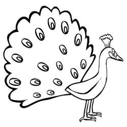 Disegno da colorare: Pavone (Animali) #197599 - Pagine da Colorare Stampabili Gratuite