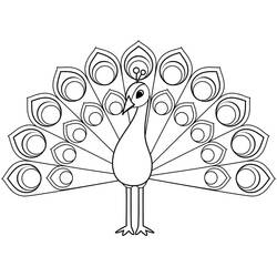 Disegno da colorare: Pavone (Animali) #197606 - Pagine da Colorare Stampabili Gratuite