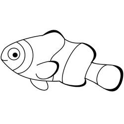 Disegno da colorare: Pesce Pagliaccio (Animali) #218330 - Pagine da Colorare Stampabili Gratuite