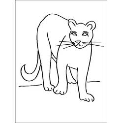 Disegni da colorare: Puma - Pagine da Colorare Stampabili Gratuite