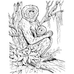 Disegno da colorare: Scimpanzé (Animali) #2833 - Pagine da Colorare Stampabili Gratuite