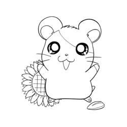 Disegno da colorare: Hamtaro (Anime e Manga) #39928 - Pagine da Colorare Stampabili Gratuite