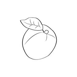 Disegni da colorare: Albicocca - Pagine da Colorare Stampabili Gratuite