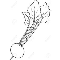 Disegno da colorare: Barbabietola (Cibo e Nutrizione) #213810 - Pagine da Colorare Stampabili Gratuite