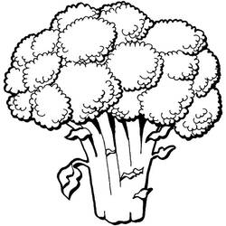 Disegno da colorare: Broccoli (Cibo e Nutrizione) #203729 - Pagine da Colorare Stampabili Gratuite