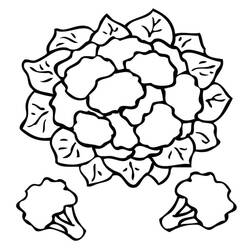 Disegni da colorare: Cavolfiore - Pagine da Colorare Stampabili Gratuite