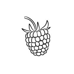 Disegni da colorare: Lampone - Pagine da Colorare Stampabili Gratuite