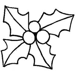 Disegni da colorare: Agrifoglio di Natale - Pagine da Colorare Stampabili Gratuite