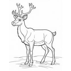 Disegno da colorare: Renna di Natale (Feste e Celebrazioni) #215790 - Pagine da Colorare Stampabili Gratuite
