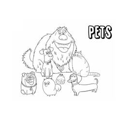 Disegno da colorare: The Secret Life of Pets (Film di Animazione) #206636 - Pagine da Colorare Stampabili Gratuite