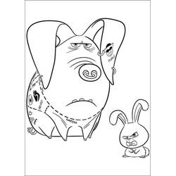 Disegno da colorare: The Secret Life of Pets (Film di Animazione) #206640 - Pagine da Colorare Stampabili Gratuite