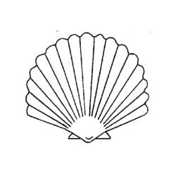 Disegni da colorare: Conchiglia - Pagine da Colorare Stampabili Gratuite
