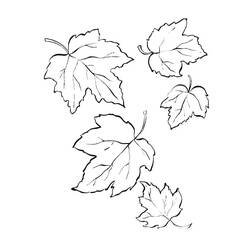 Disegno da colorare: Foglia d'Acero (Natura e Stagioni) #190225 - Pagine da Colorare Stampabili Gratuite
