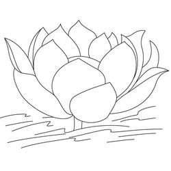 Disegni da colorare: Loto - Pagine da Colorare Stampabili Gratuite