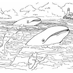 Disegno da colorare: Mare (Natura e Stagioni) #193504 - Pagine da Colorare Stampabili Gratuite