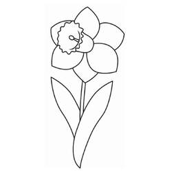 Disegni da colorare: Narciso - Pagine da Colorare Stampabili Gratuite