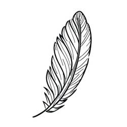 Disegno da colorare: Piuma (Oggetti) #212625 - Pagine da Colorare Stampabili Gratuite