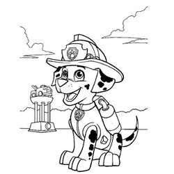 Disegni da colorare: Marcus PAW Patrol - Pagine da Colorare Stampabili Gratuite