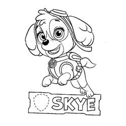 Disegno da colorare: Stella PAW Patrol (Personaggi dei Cartoni Animati) #181699 - Pagine da Colorare Stampabili Gratuite