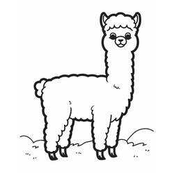 Disegno Alpaca in piedi sull'erba da colorare