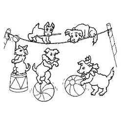 Disegno Animali da circo cani acrobati in spettacolo da colorare