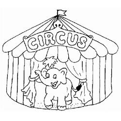 Disegno Elefante da circo sotto il tendone da colorare
