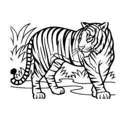 Animali Selvaggi / della Giungla - Disegni da colorare gratuiti
