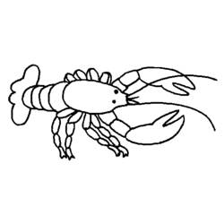 Aragosta - Disegni da colorare gratuiti