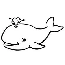 Disegno Balena che spruzza acqua da colorare
