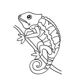Disegno Camaleonte appollaiato su un ramo da colorare