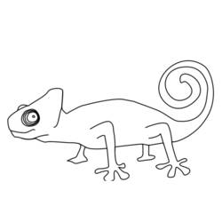 Disegno Camaleonte che cammina con la coda arrotolata da colorare