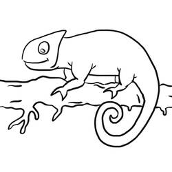 Disegno Camaleonte su un ramo da colorare