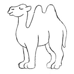 Cammello - Disegni da colorare gratuiti