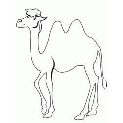 Disegno Cammello in piedi con due gobbe da colorare Disegno Cammello in piedi con due gobbe da colorare