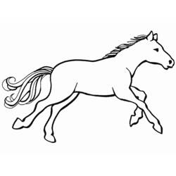 Disegno Cavallo al galoppo da colorare
