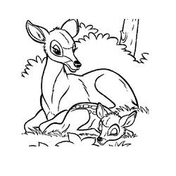 Disegno Cerva sdraiata con il suo cerbiatto nel bosco da colorare