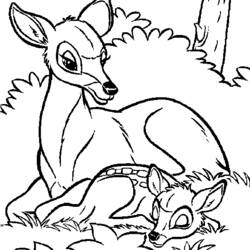 Disegno Cerva che riposa con il suo cerbiatto nella foresta da colorare