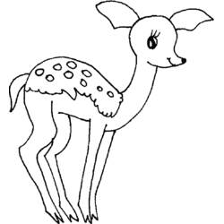 Disegno Cerva con dorso maculato in piedi da colorare