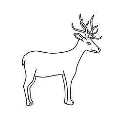 Disegno Cervo in piedi con corna ramificate da colorare
