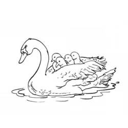 Cigno - Disegni da colorare gratuiti