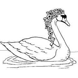 Disegno Cigno con una ghirlanda di fiori sull'acqua da colorare