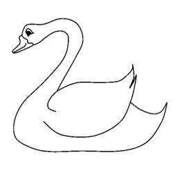Disegno Cigno che scivola con grazia sull'acqua da colorare