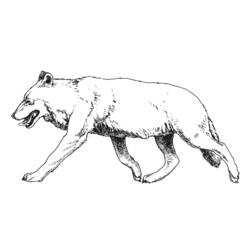 Disegno Cinghiale che cammina a bocca aperta da colorare