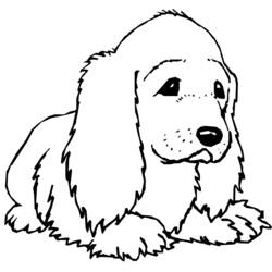 Disegno Cucciolo sdraiato con orecchie lunghe da colorare