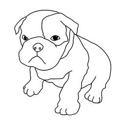 Disegno Cucciolo di boxer seduto con la testa inclinata da colorare