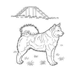 Disegno Cucciolo di husky in piedi vicino a un ponte di legno da colorare Disegno Cucciolo di husky in piedi vicino a un ponte di legno da colorare