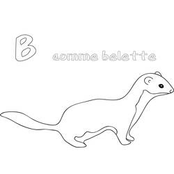 Donnola - Disegni da colorare gratuiti