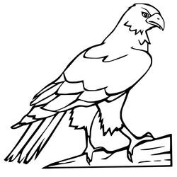 Disegno Falco appollaiato su un tronco di legno da colorare Disegno Falco appollaiato su un tronco di legno da colorare