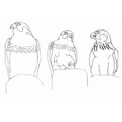 Disegno Falco tre uccelli appollaiati fianco a fianco da colorare Disegno Falco tre uccelli appollaiati fianco a fianco da colorare